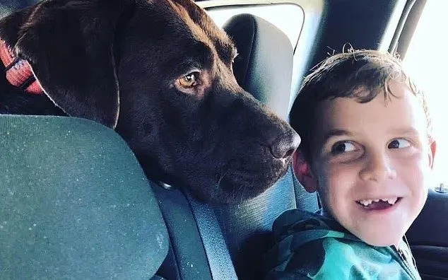 Community members preparing for a candlelight vigil in Perth following a family tragedy.