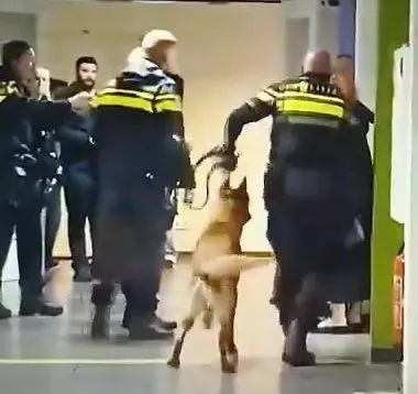 pregnant-woman-dragged-by-police-in-netherlands