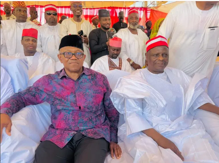 Peter Obi and Rabiu Kwankwaso exempted from NDC anti-defection oath policy