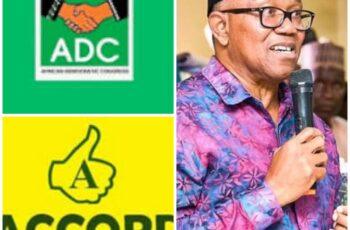 Peter Obi reacts to Federal High Court ruling ordering the deregistration of ADC and other political parties.