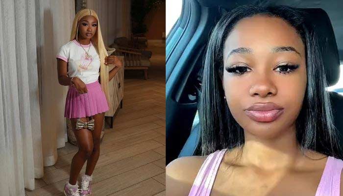 Florida influencer DreamDoll Brii, also known as Brianna Johnson, who died following a drive-by shooting in Miramar.