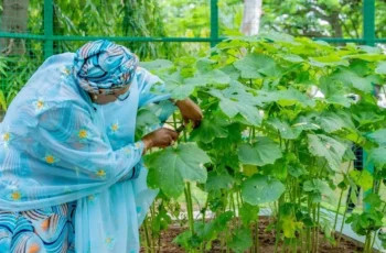 First Lady Remi Tinubu promoting home gardening through the Every Home A Garden campaign.
